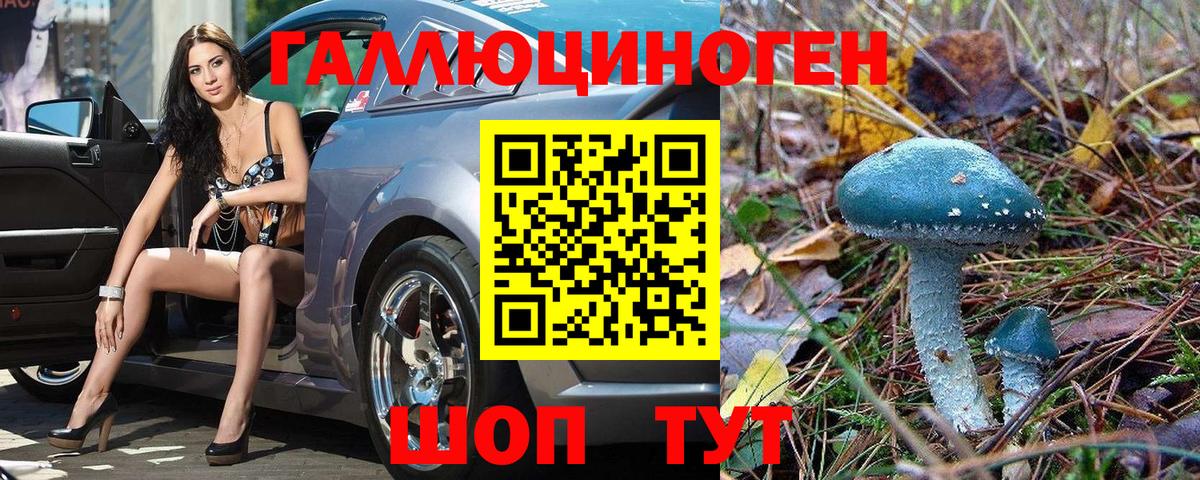 Иваново  Псилоцибиновые грибы Psilocybe  Вход с VPN 