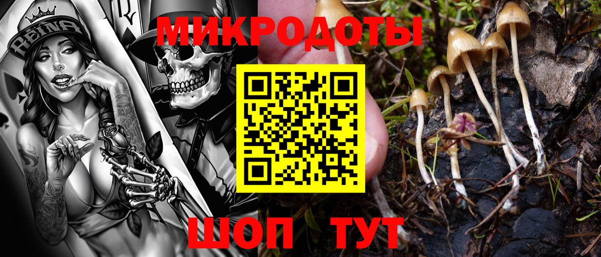 Псилоцибиновые грибы мухоморы Иваново